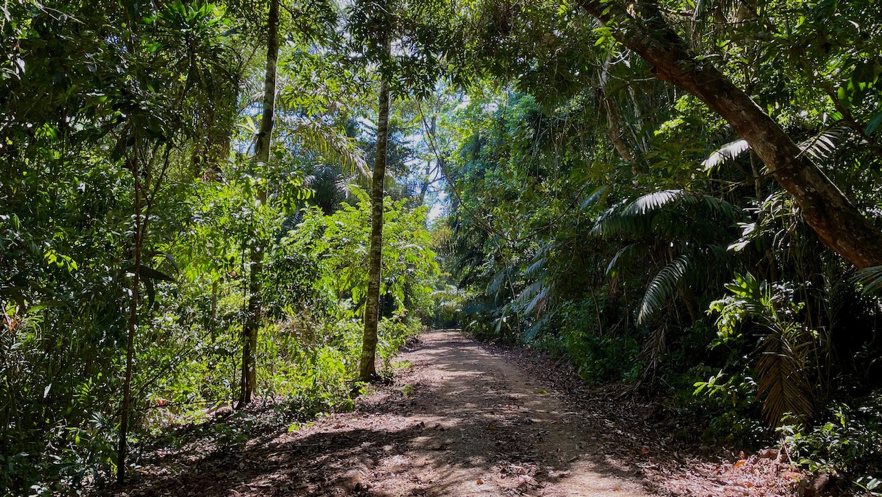 Trail View