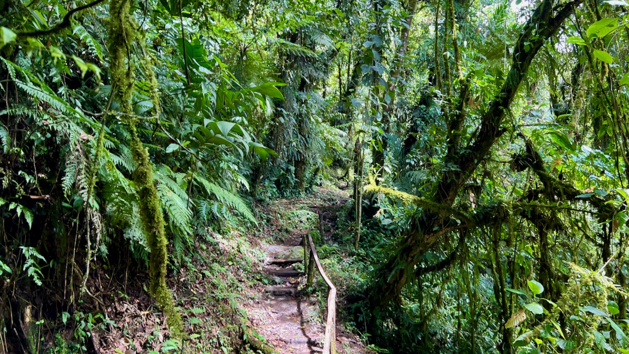 Trail View