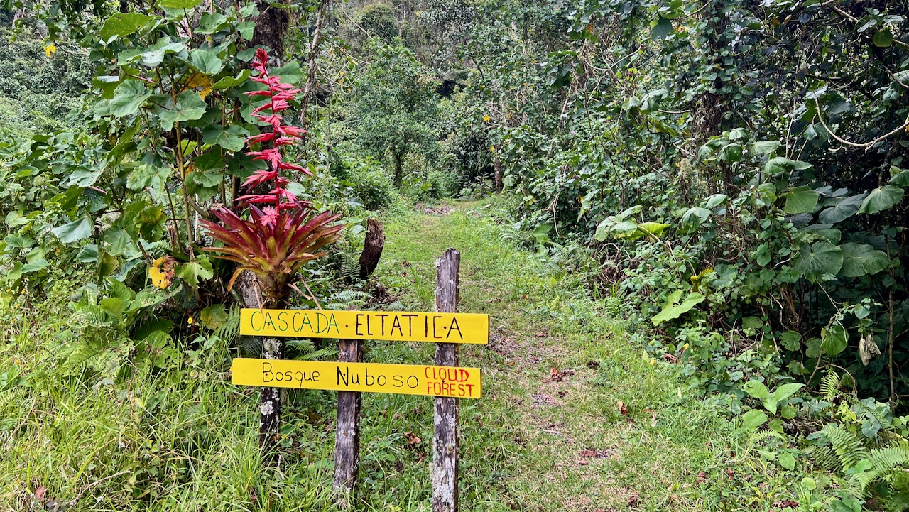 Trail View