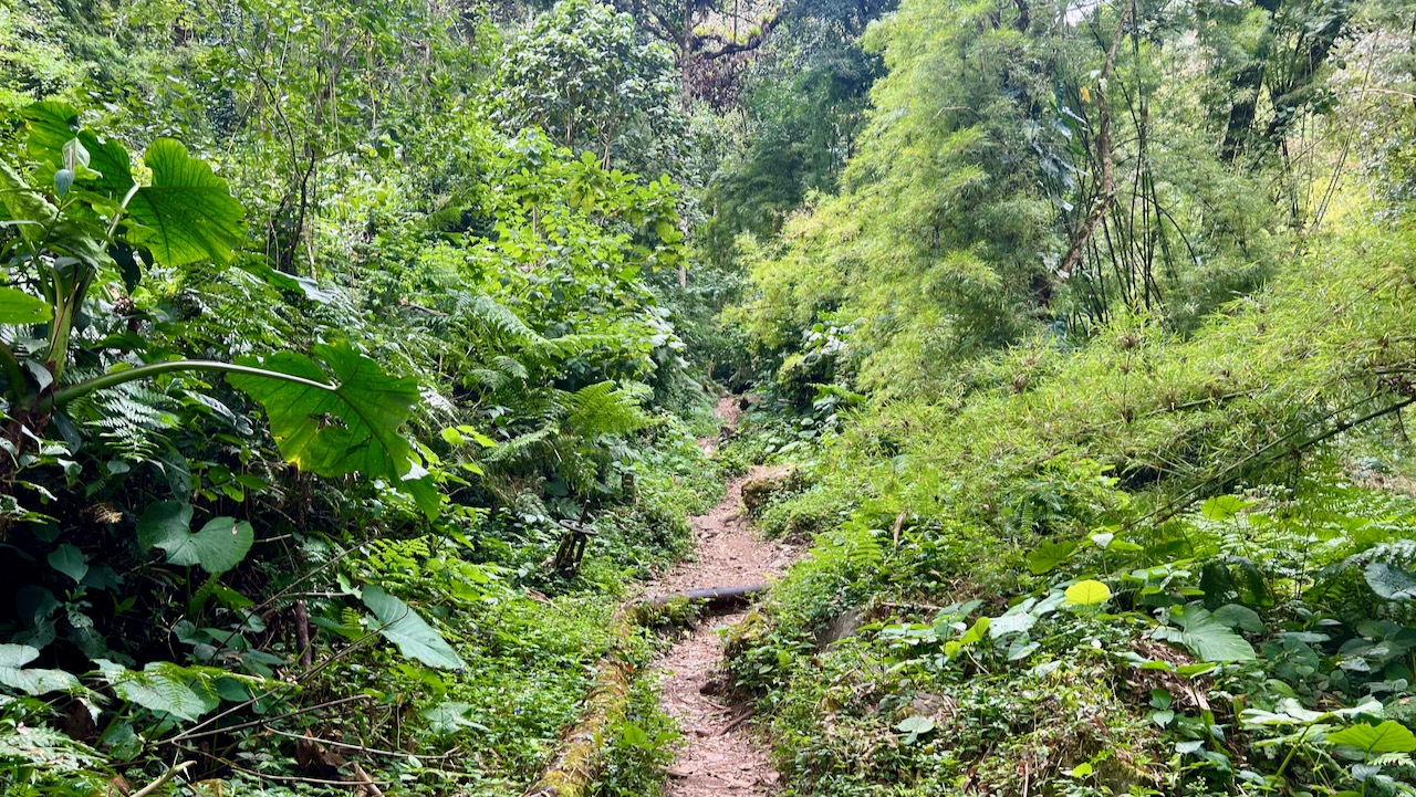 Trail View