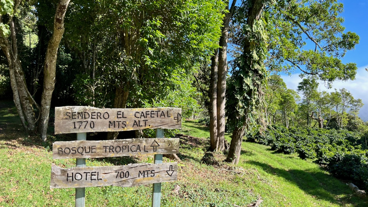 Trail Sign