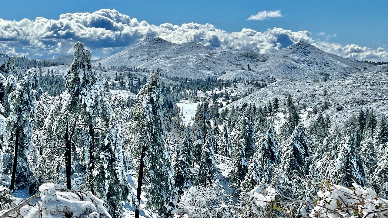 Cleveland National Forest