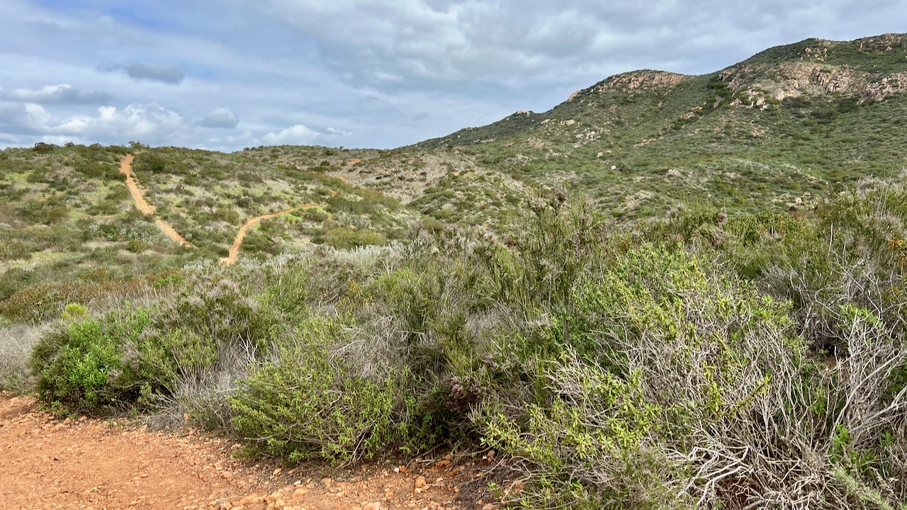 Trail View