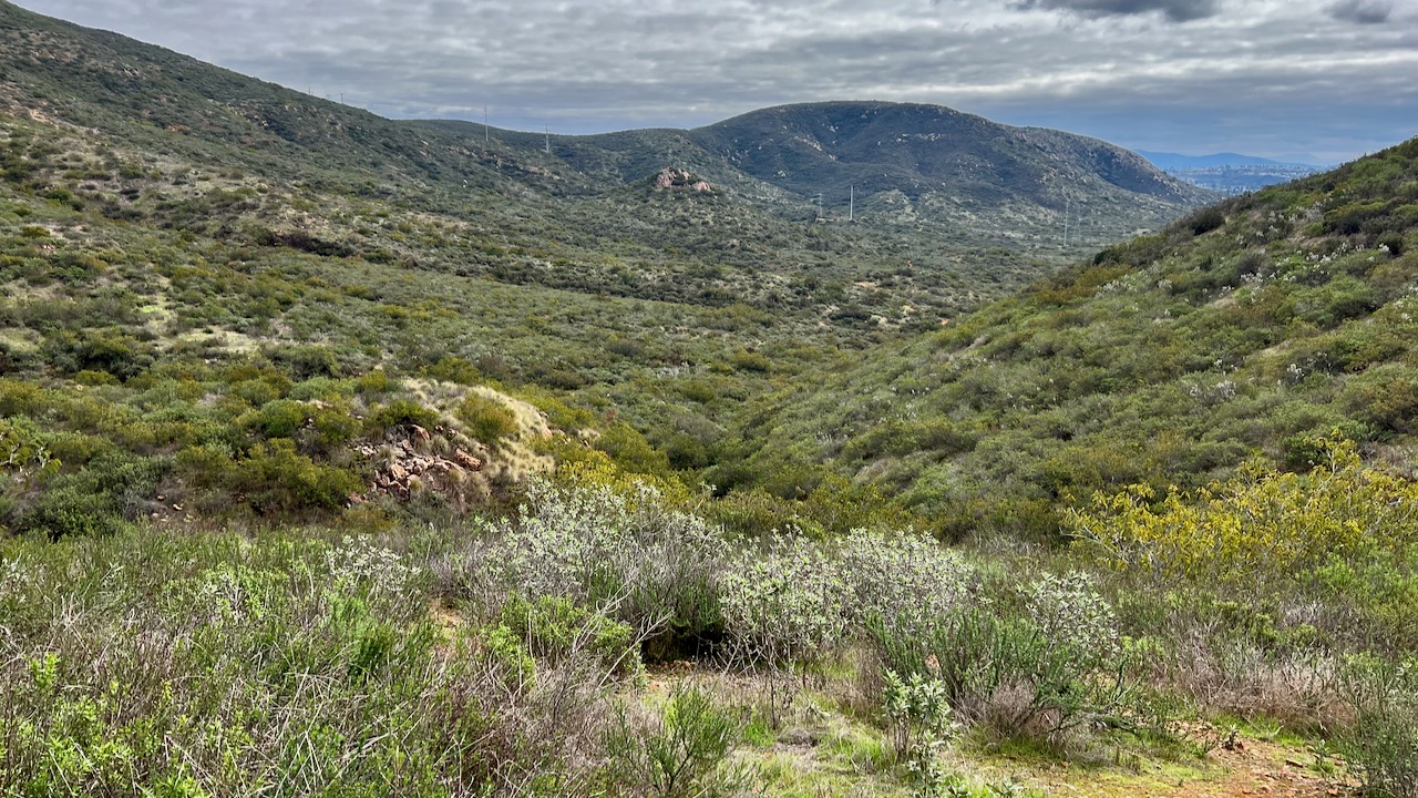 Trail View