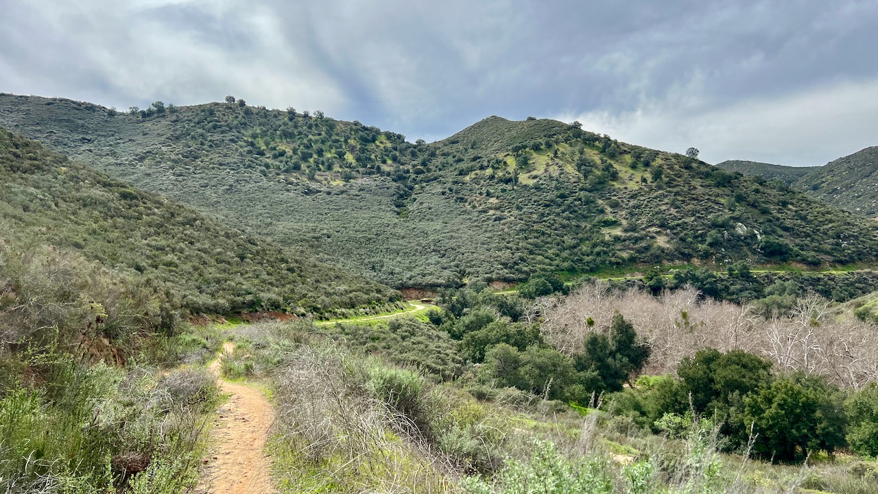 Trail View