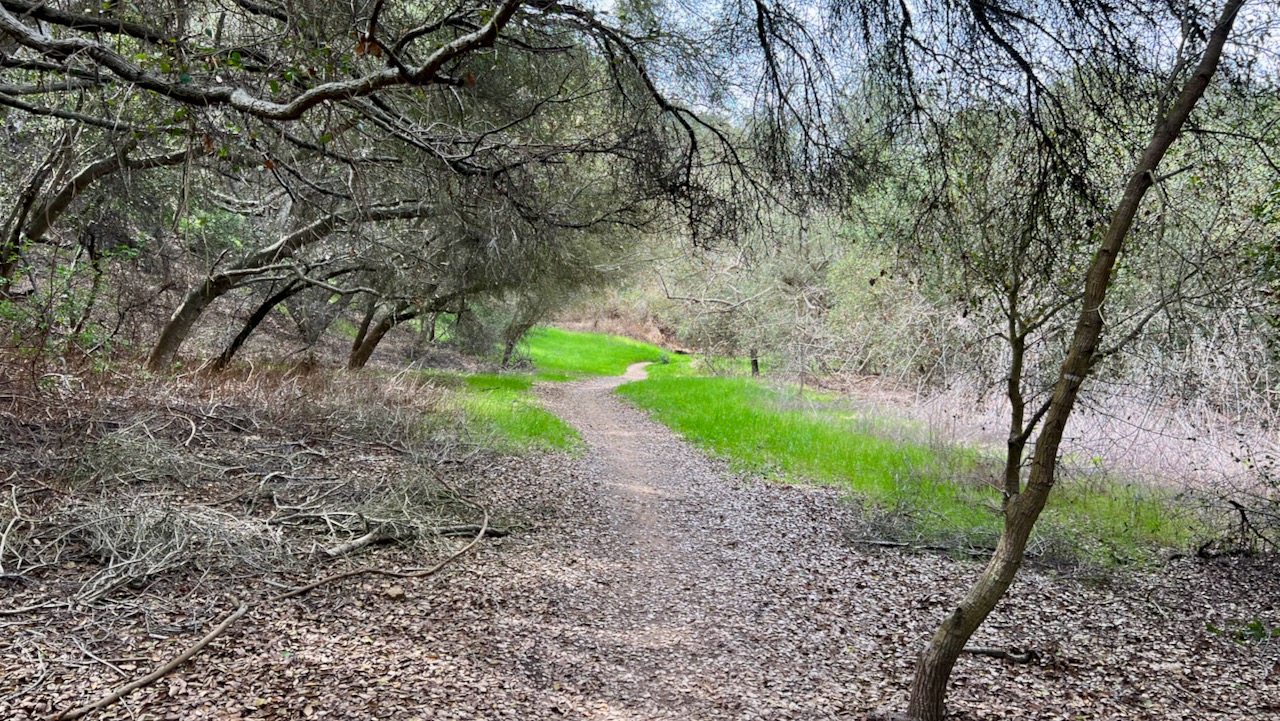 Trail View