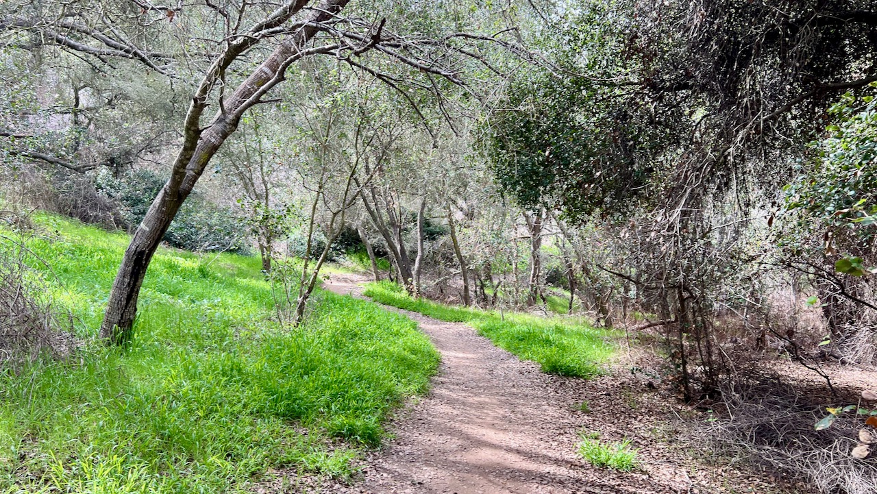 Trail View