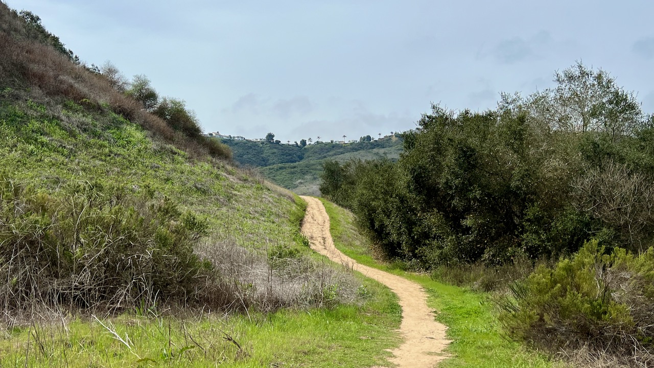 Trail View