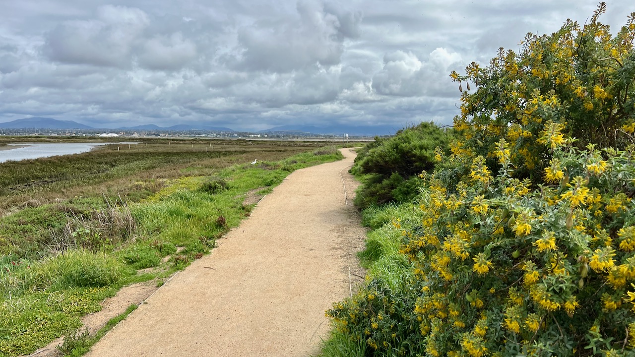 Trail View