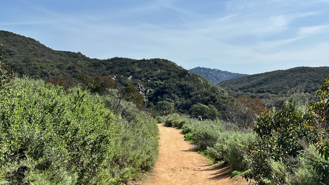 Trail View