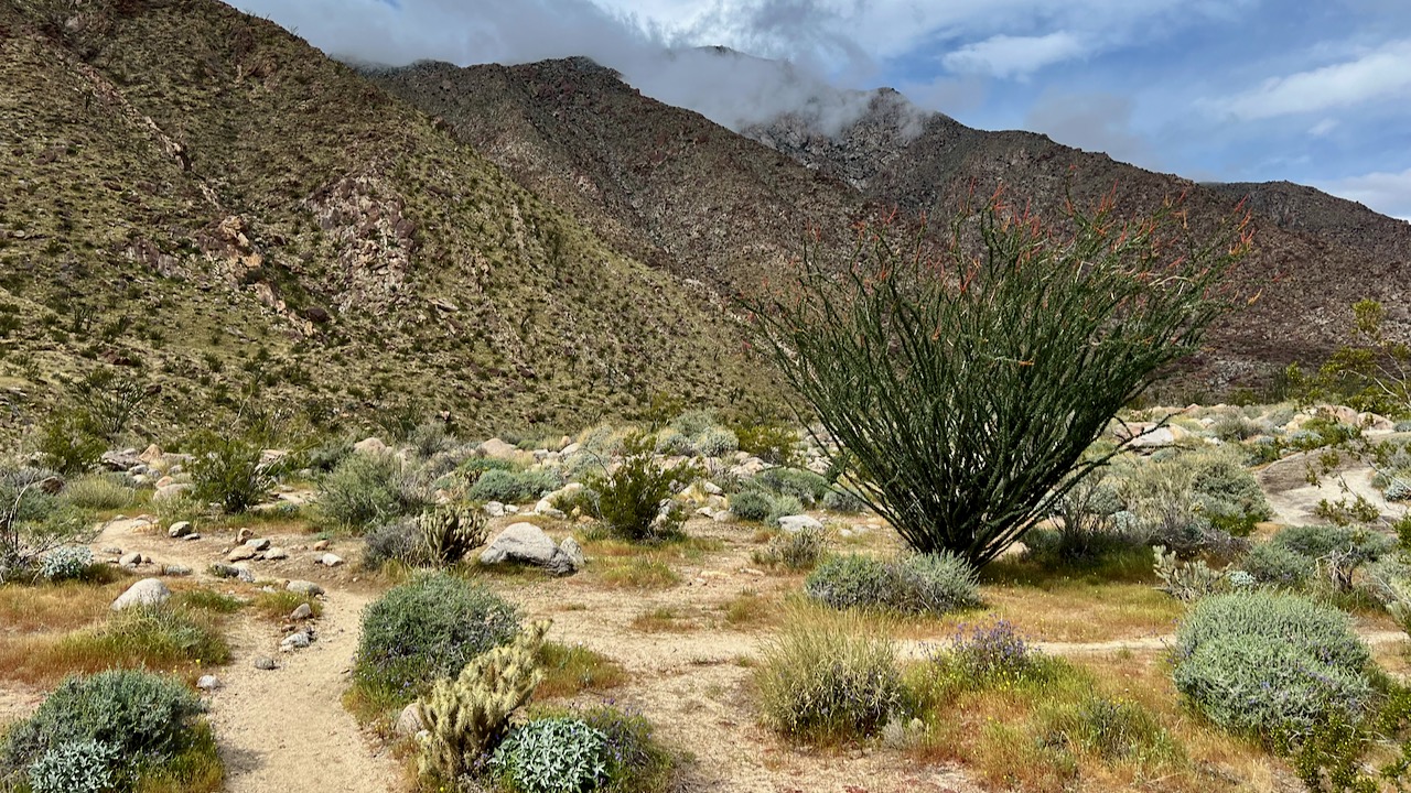 Trail View