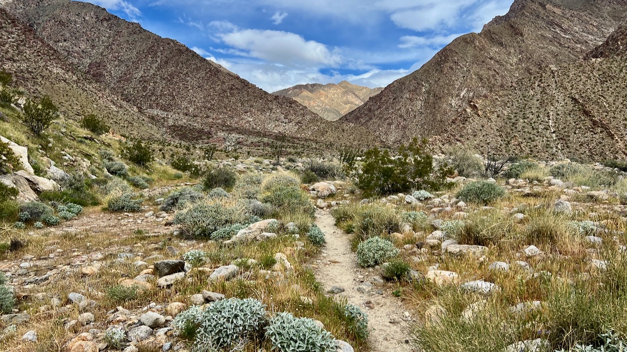 Trail View