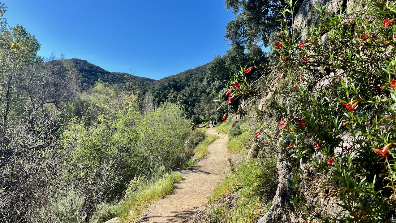 Trail View