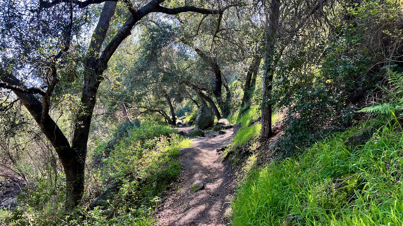 Trail View