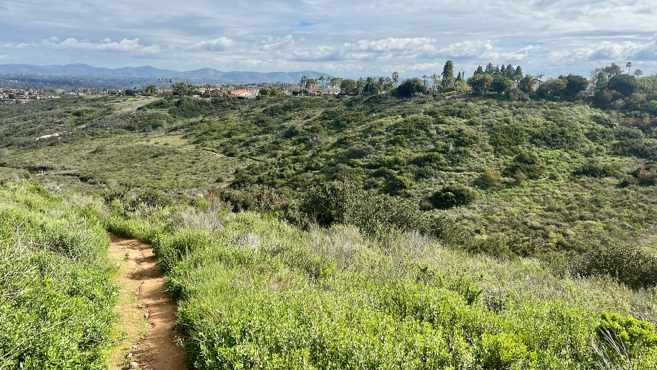 Trail View