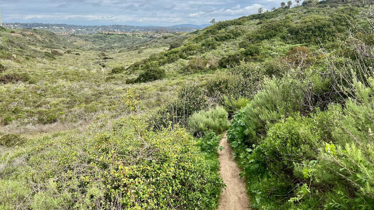 Trail View