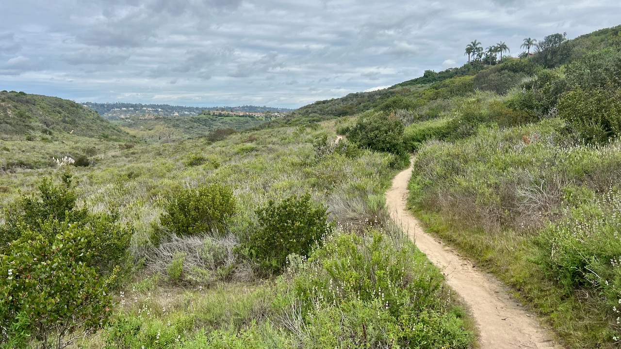 Trail View