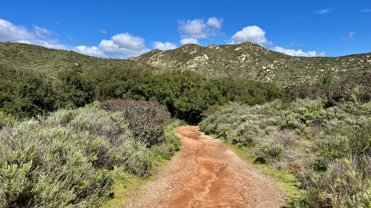 Trail View