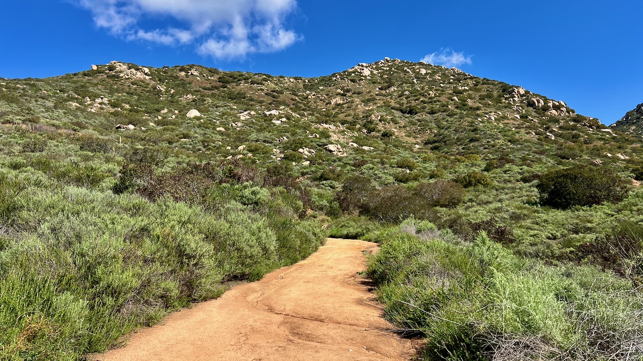 Trail View