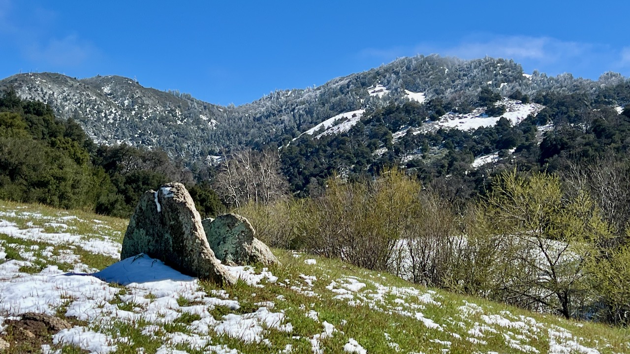 Trail View