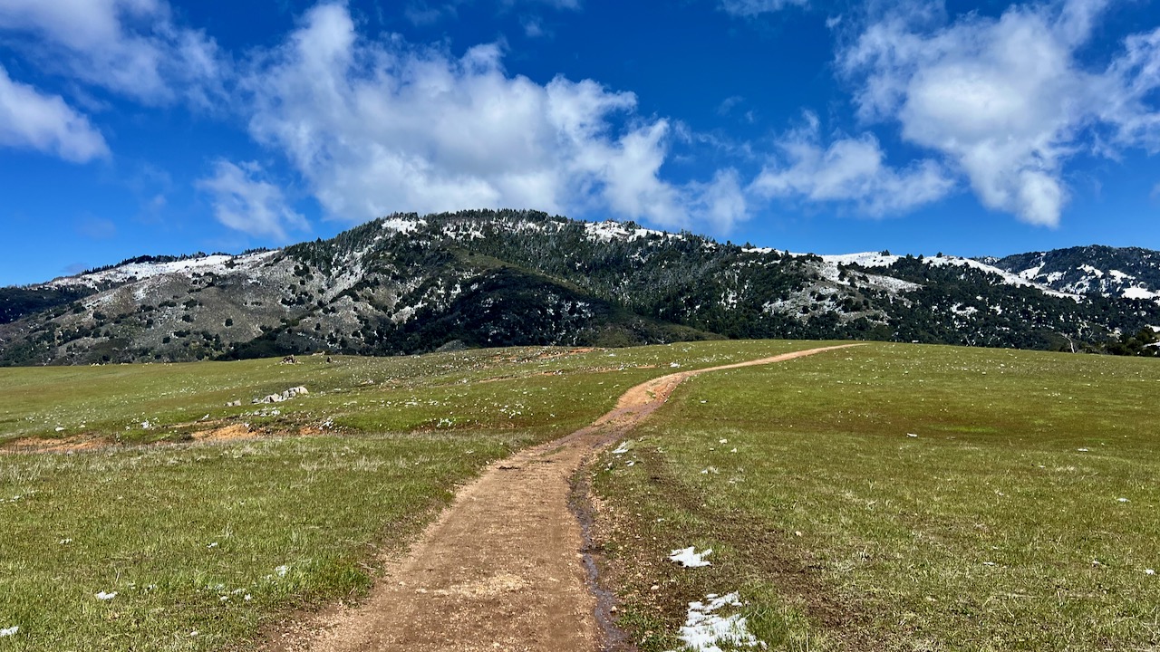 Trail View