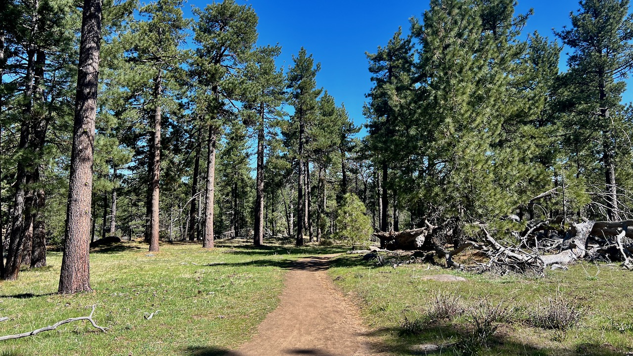 Trail View