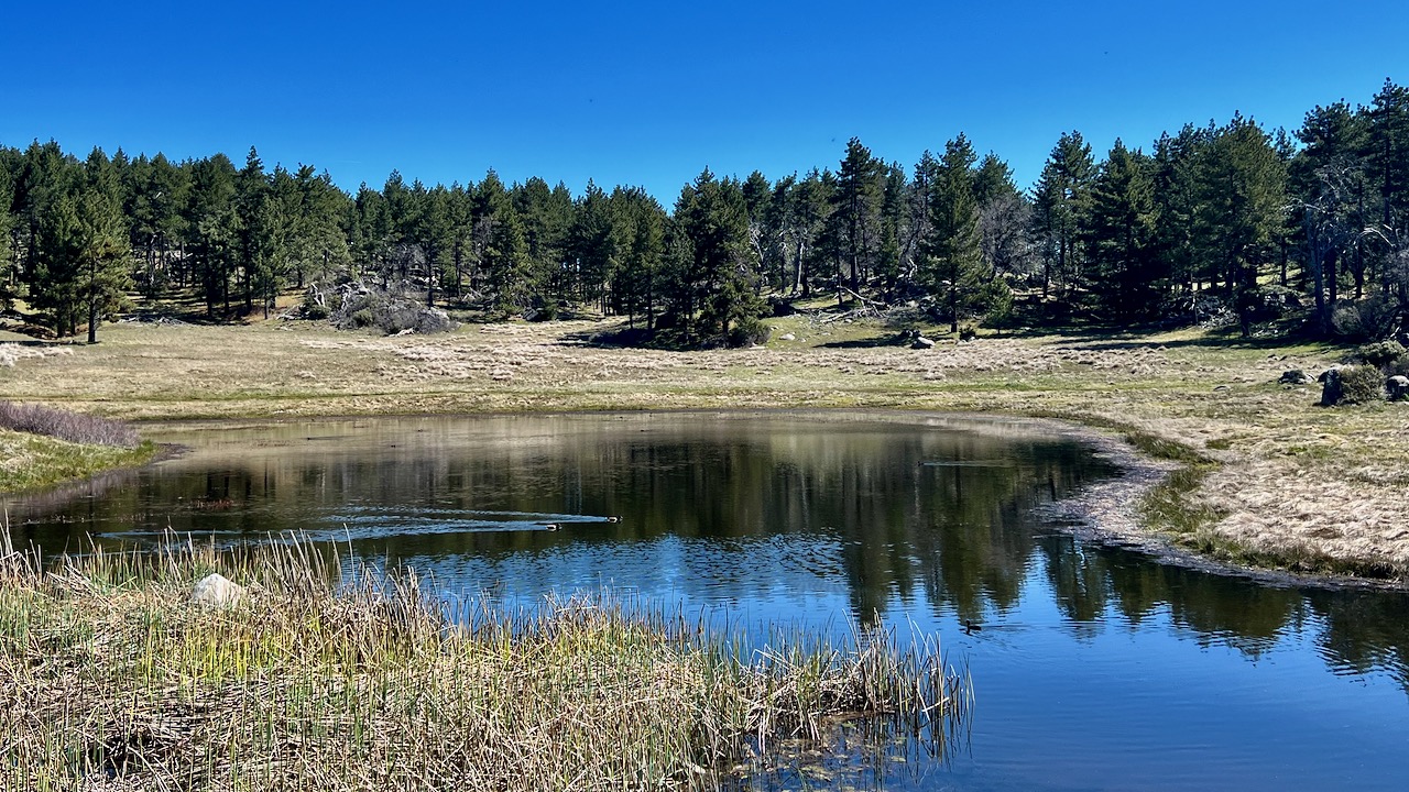 Los Rasalies Lake