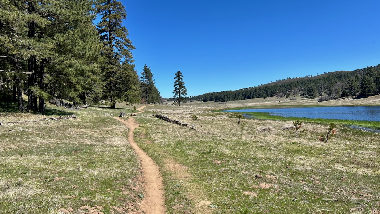 Trail View