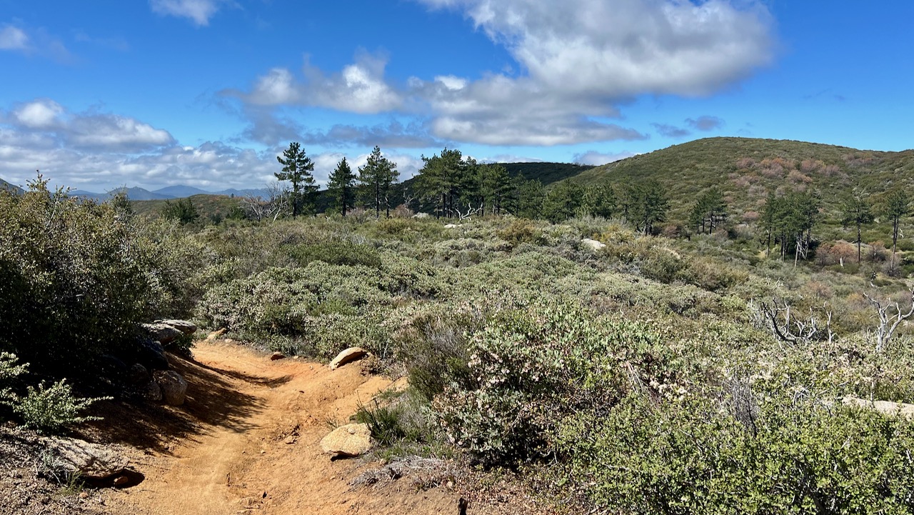 Trail View