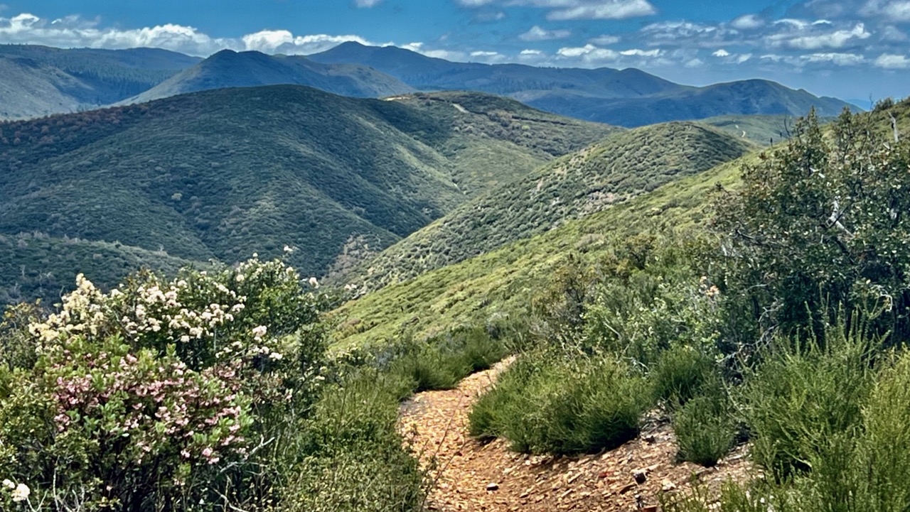 Trail View