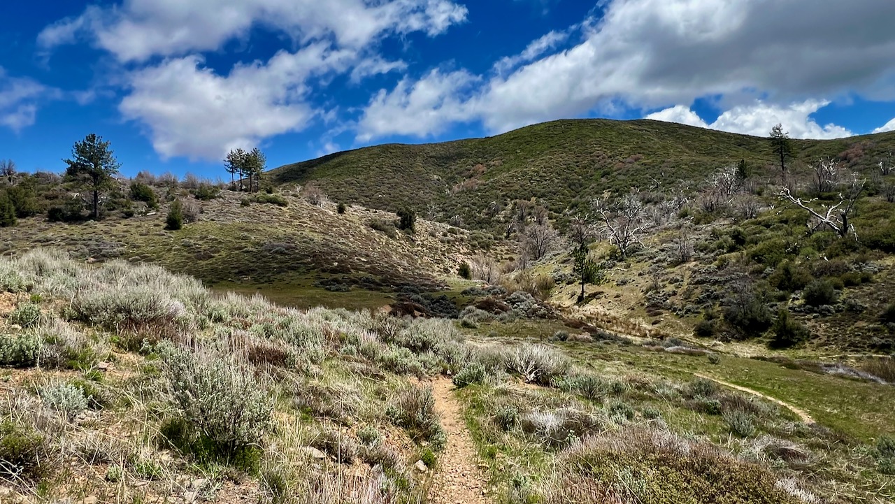 Trail View