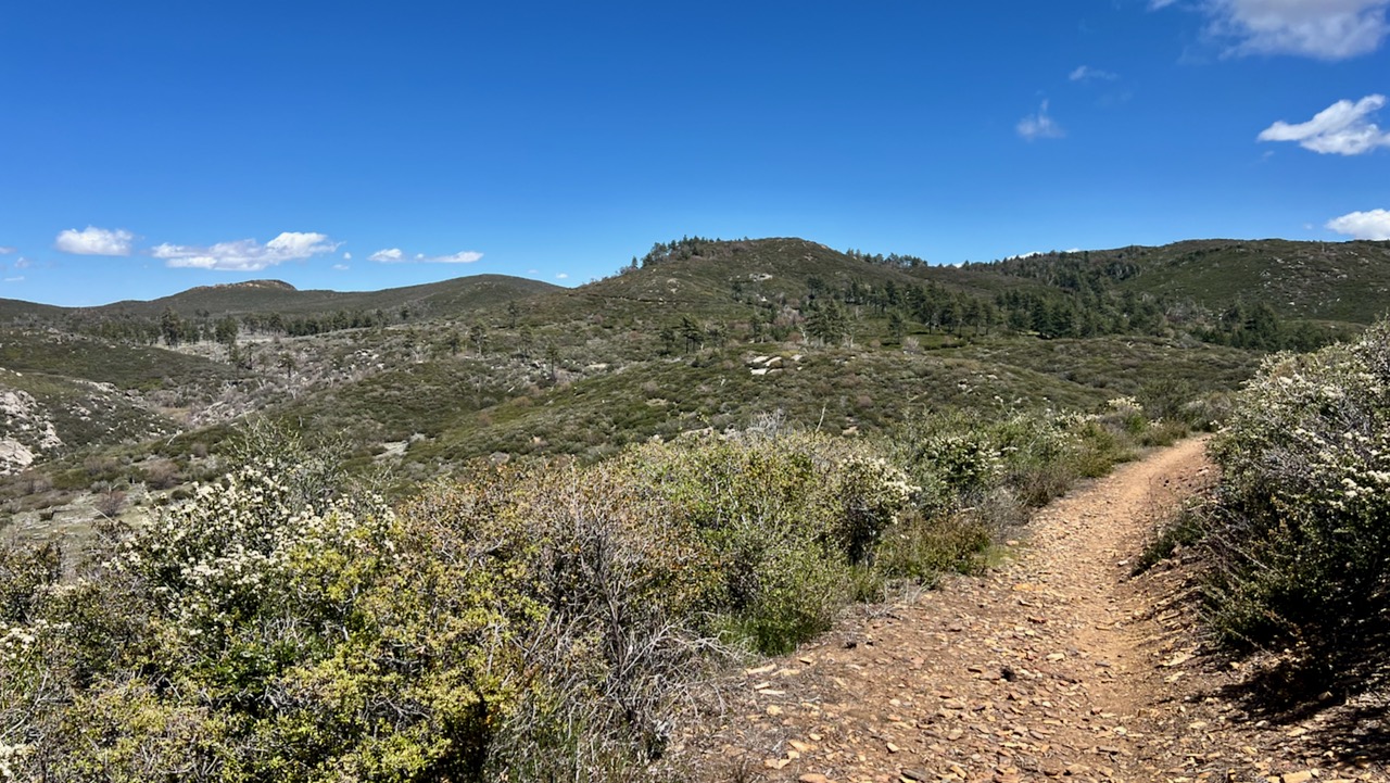 Trail View