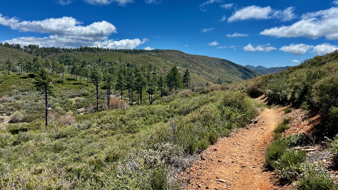 Trail View