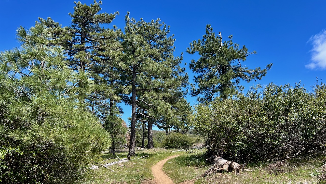 Trail View