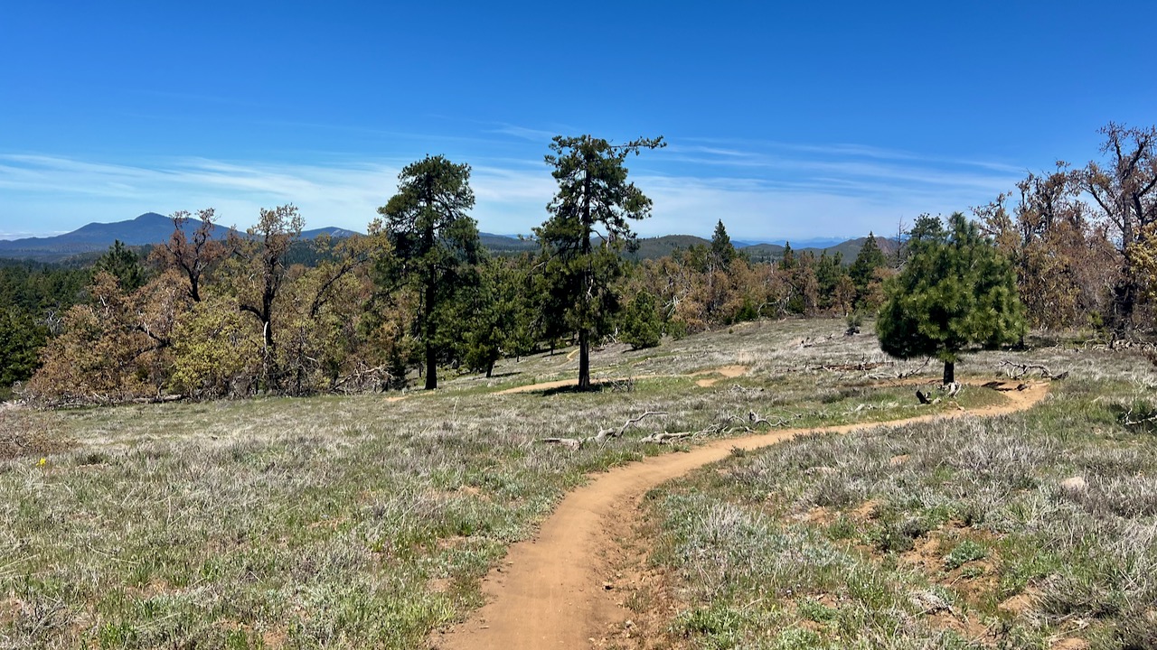 Trail View