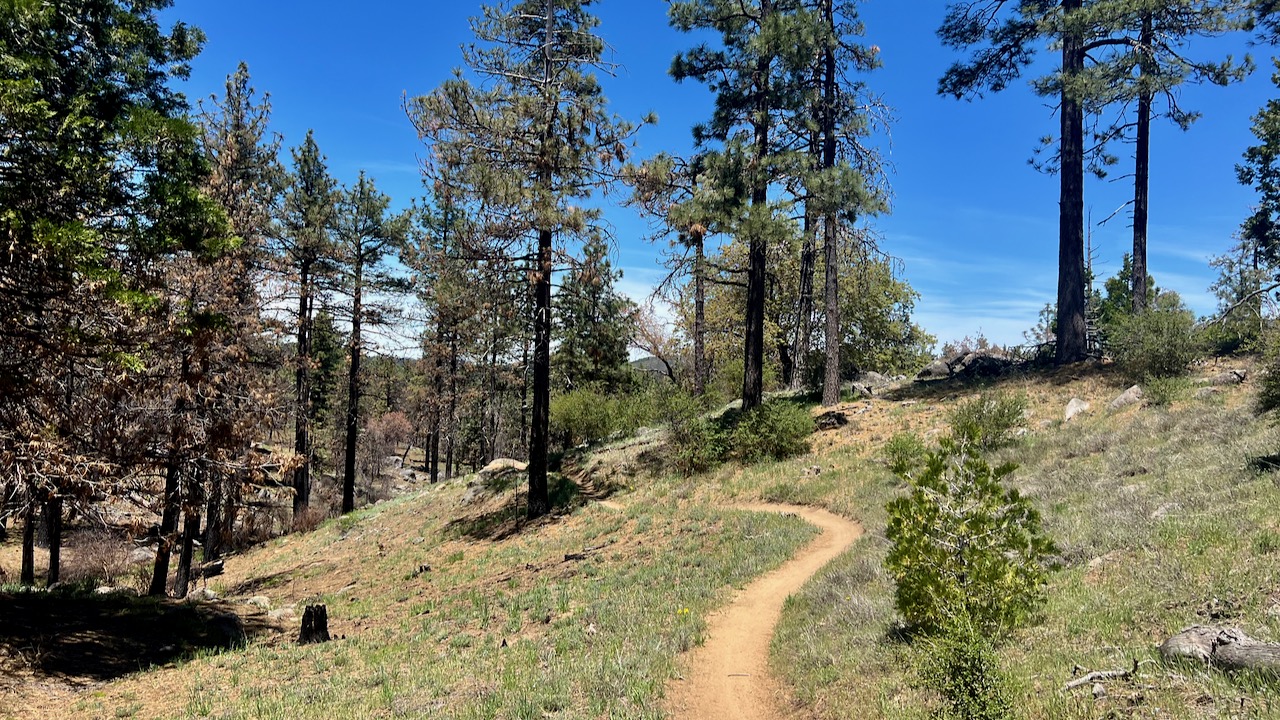 Trail View