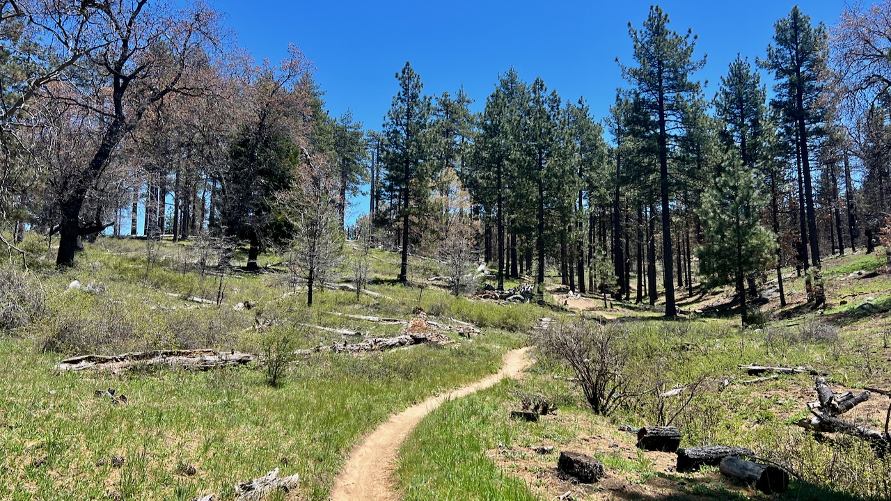 Trail View