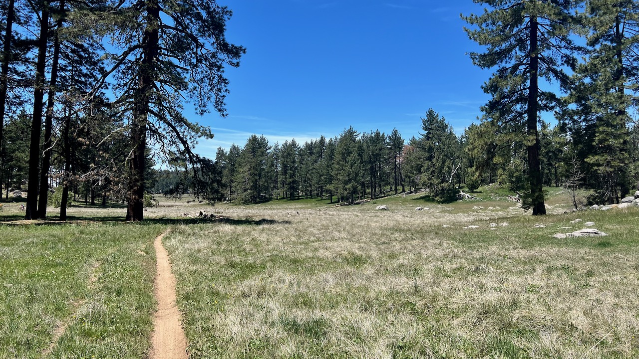 Trail View