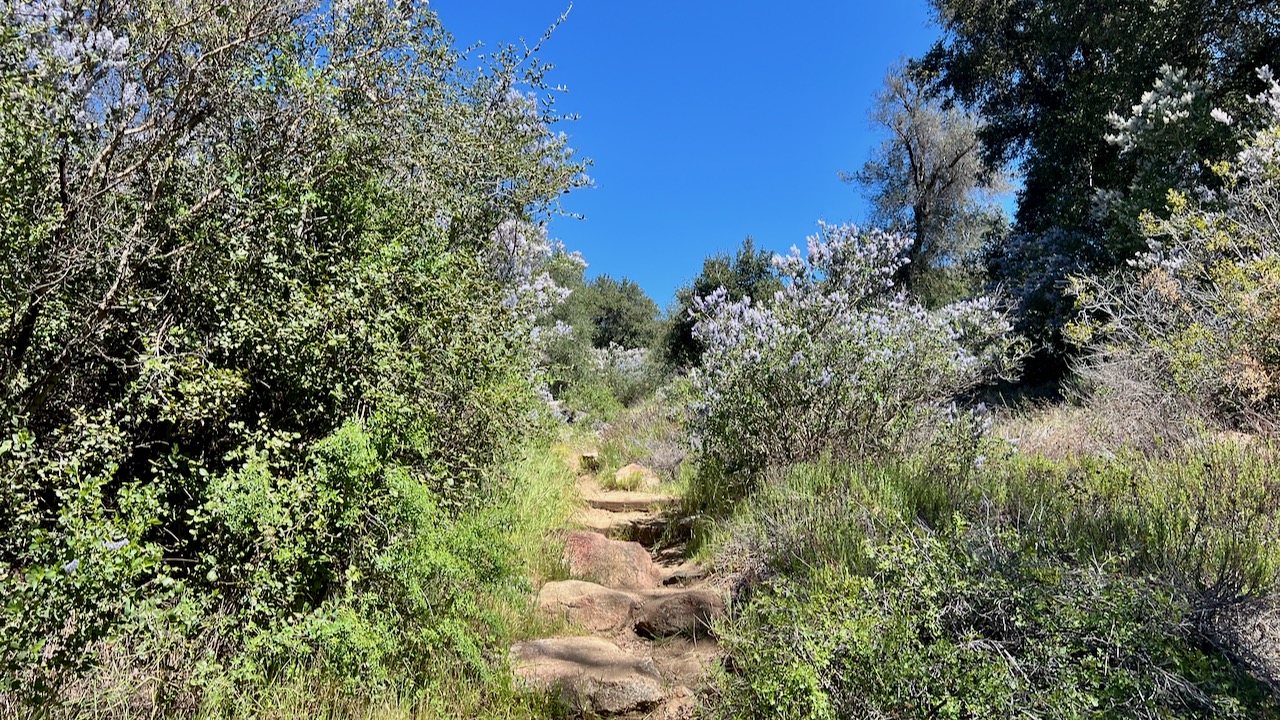 Trail View