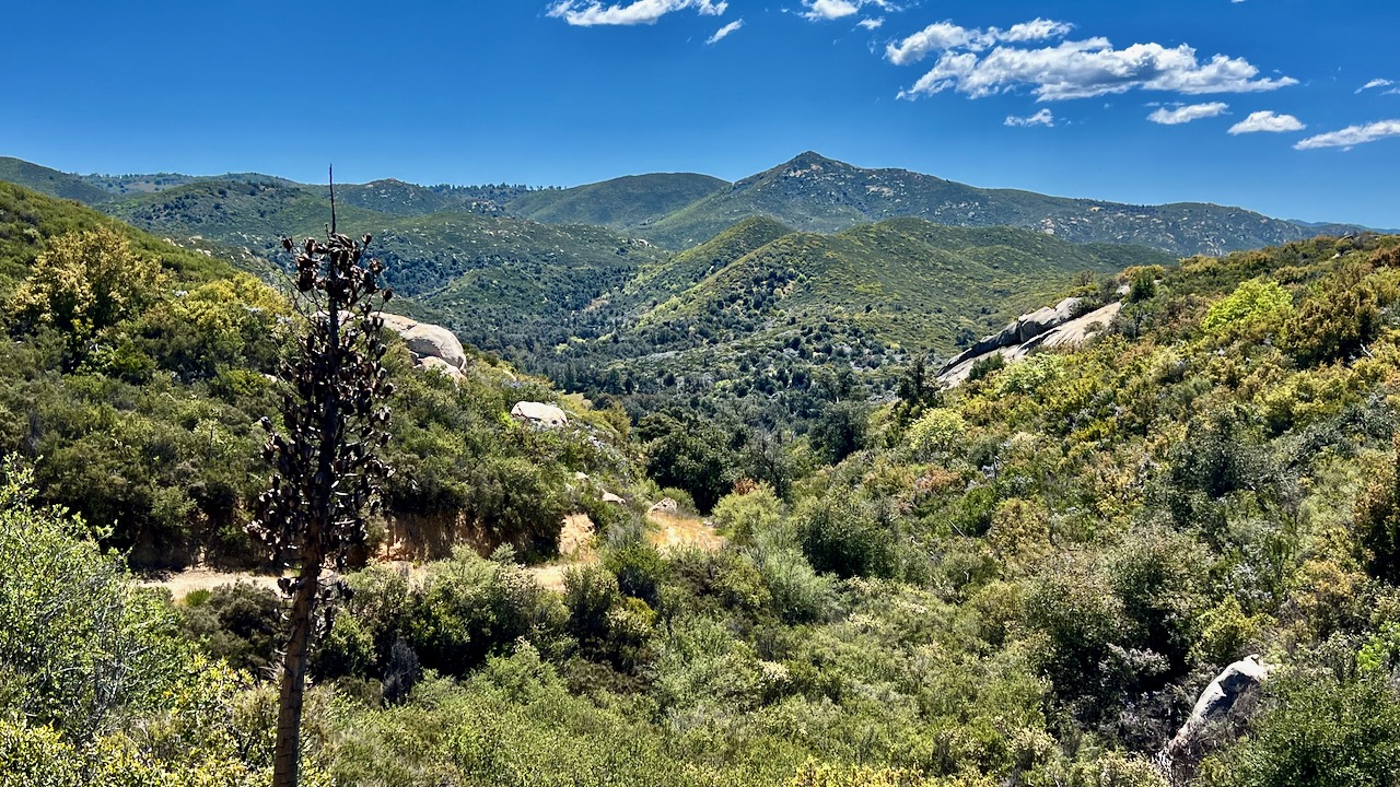 Trail View