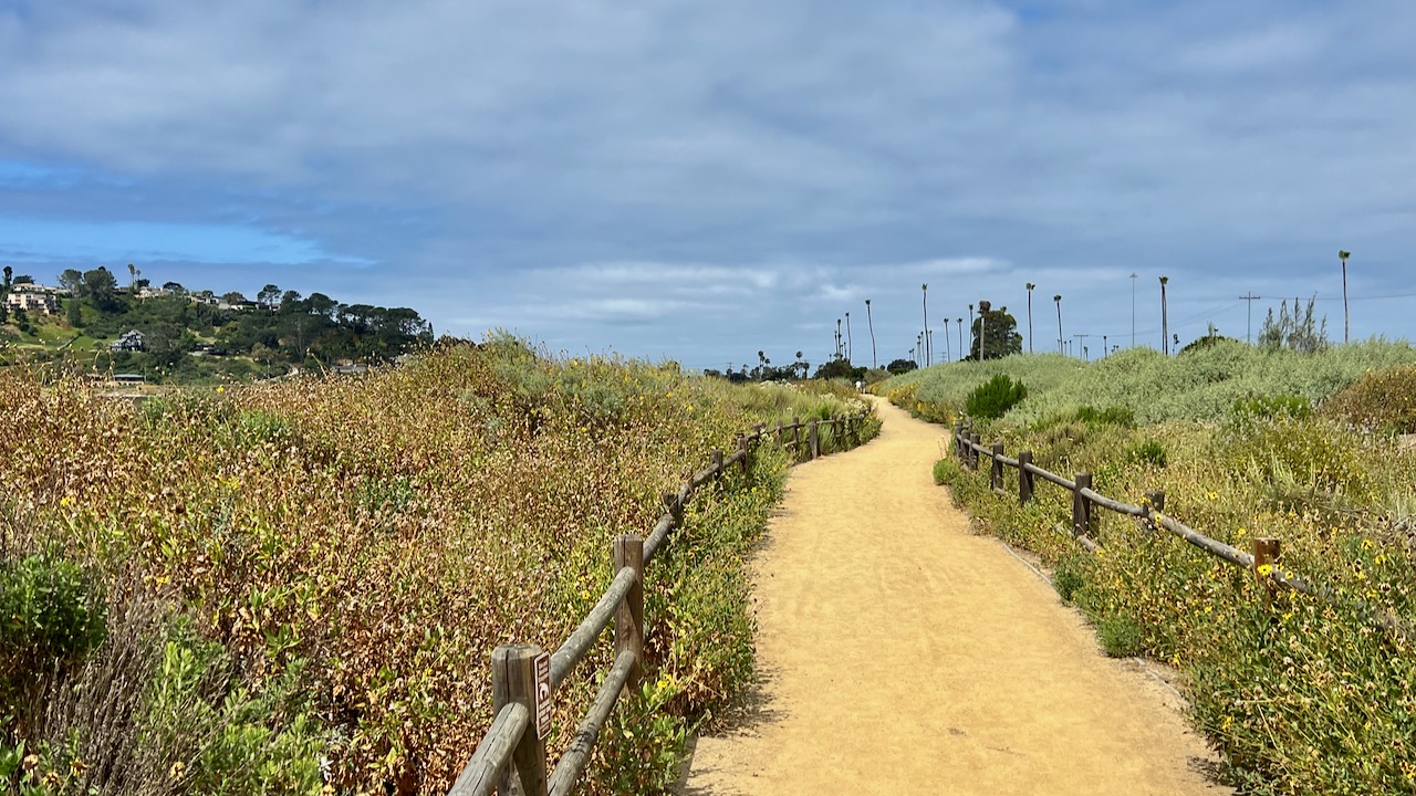 Trail View