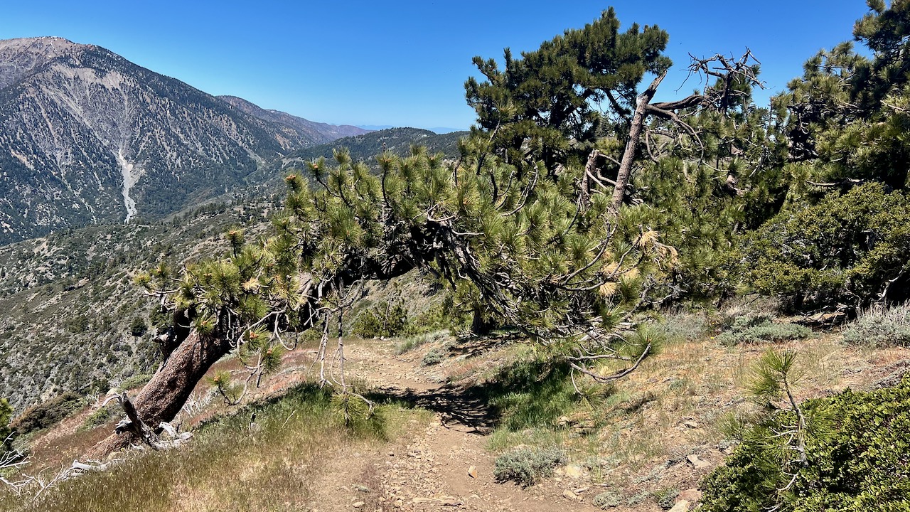 Trail View