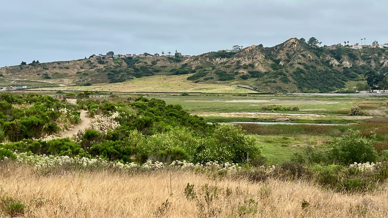 Trail View