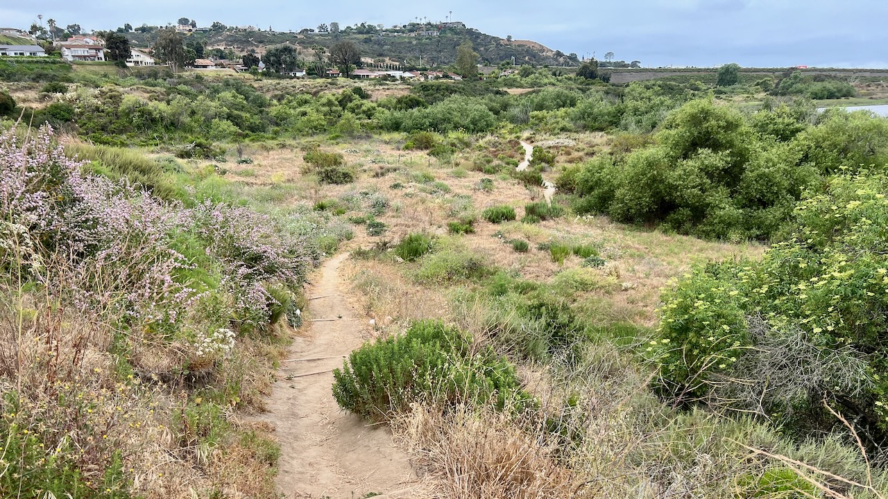 Trail View