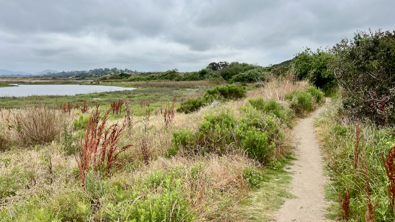 Trail View