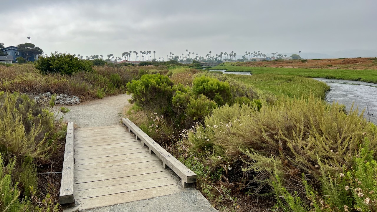 Trail View