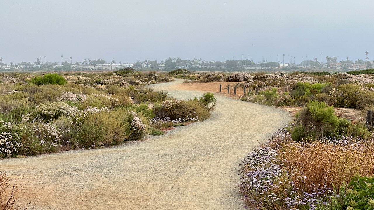 Trail View