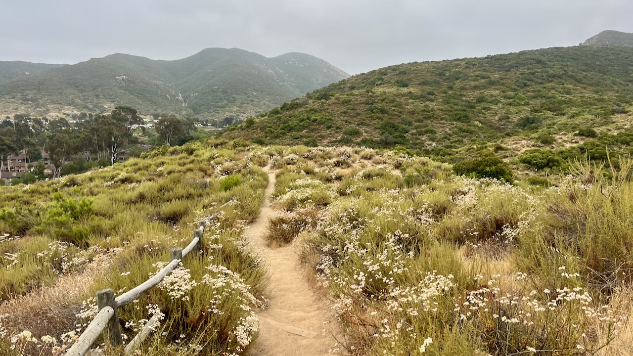 Trail View