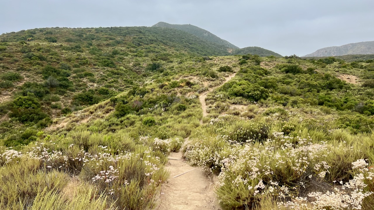 Trail View