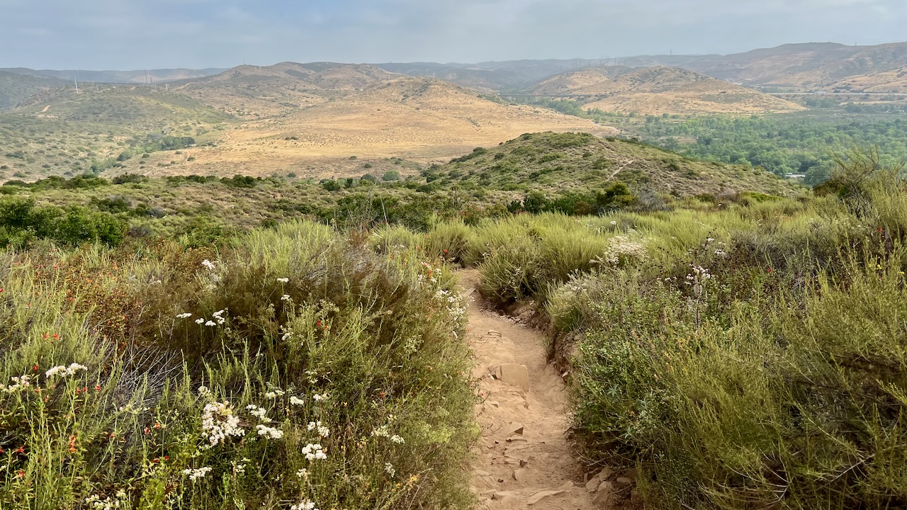 Trail View